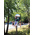 RS PRO Glass Indoor, Outdoor Mirror, Circular