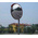 RS PRO PC Indoor, Outdoor Mirror, Circular