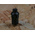 RS PRO Miniature Push Button Switch, Momentary, Panel Mount, 8mm Cutout, SPST, 120/250V ac