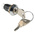 Key Switch, DPDT, 1 A @ 24V ac dc / 115V ac 2-Way Random-Key