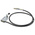 RS PRO Roller Lever Limit Switch, NO/NC, IP67, DPST, Die Cast Zinc Housing, 240V ac Max, 5A Max