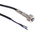RS PRO Inductive Barrel-Style Proximity Sensor, M8 x 1, 2 mm Detection, PNP Output, 10 → 30 V dc, IP68