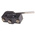 RS PRO Lever Micro Switch, Screw Terminal, 15 A @ 250 V ac, SP-CO