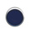 Schneider Electric Harmony XB4 Series Blue Illuminated Spring Return Push Button Head, 22mm Cutout, IP66, IP67, IP69K