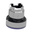 Schneider Electric Harmony XB4 Series Blue Illuminated Spring Return Push Button Head, 22mm Cutout, IP66, IP67, IP69K