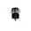 RS PRO Illuminated Push Button Switch, Momentary, Panel Mount, 22mm Cutout, SPDT, Green LED, 250V ac, IP65, IP67