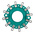 NSF Rotary Switch Wafer 12-Position