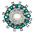 NSF Rotary Switch Wafer