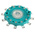 NSF Rotary Switch Wafer 11-Position