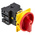 Eaton 3P Pole Rear Panel Isolator Switch - 100A Maximum Current, 50kW Power Rating, IP65