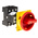 Eaton 3P Pole Rear Panel Isolator Switch - 25A Maximum Current, 13kW Power Rating, IP65