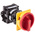 Eaton 2P Pole Panel Mount Isolator Switch - 32A Maximum Current, 13kW Power Rating, IP65
