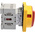Allen Bradley 3P Pole Panel Mount Isolator Switch - 32A Maximum Current, 15kW Power Rating, IP65