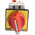 Schneider Electric 3P Pole Panel Mount Isolator Switch - 32A Maximum Current, 15kW Power Rating