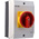 Eaton 6P Pole Surface Mount Isolator Switch -, 22kW Power Rating, IP65