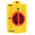 Schneider Electric 3P Pole Panel Mount Isolator Switch - 10A Maximum Current, 4kW Power Rating, IP55