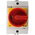 Eaton 3P Pole Surface Mount Isolator Switch - 20A Maximum Current, 6.5kW Power Rating, IP65