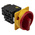 Eaton 6P Pole Panel Mount Isolator Switch - 20A Maximum Current, 6.5kW Power Rating, IP65