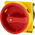 Eaton 3P Pole Panel Mount Isolator Switch - 32A Maximum Current, 18.5kW Power Rating, IP65
