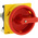 Eaton 3P Pole Panel Mount Isolator Switch - 32A Maximum Current, 18.5kW Power Rating, IP65