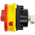 Eaton 3P Pole Panel Mount Isolator Switch - 32A Maximum Current, 18.5kW Power Rating, IP65