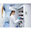 Testo Wall Attachment for Use with testo Saveris 2