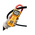 Fluke 353 Clamp Meter, 2000A dc, Max Current 2000A ac CAT III 1000V