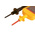 Martindale VI13800, LED Voltage tester, 600V ac/dc, From Unit Under Test Powered, CAT III 1000V With RS Calibration