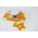 Protimeter Moisture Meter Pin for Use with MMS2 Hygrometer Device, Protimeter Hygromaster 2