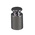 Adam Equipment Co Ltd 100g Calibration Weight