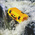 Peli Storm iM2200 Waterproof Plastic Equipment case, 168 x 411 x 322mm