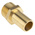 RS PRO Hose Connector Hose Tail Adaptor, G 1in 1in ID