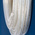 Saint Gobain Tygon® LP-1200 Flexible Tube, FKM, TPU, 2.4mm ID, 4.8mm OD, Clear, 15m