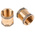 RS PRO Threaded Fitting, Straight Coupler, Female BSPP 3/4in to Female BSPP 3/4in