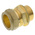 Pegler Yorkshire Brass Pipe Fitting, Straight Compression Coupler, Male G 3/4in to Female 22mm