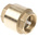 RS PRO Brass Single Check Valve, BSPP 1-1/4in, 12 bar