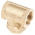 RS PRO Brass Single Non Return Valve, BSP 1in, 12 bar