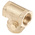 RS PRO Brass Single Check Valve, BSP 3/4in, 16 bar