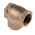 RS PRO Bronze Single Check Valve, BSPT 2in, 25 bar