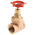 RS PRO Gate Valve, 1-1/4in