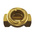 Valsteam ADCA Brass Sight Glass Check Valve, BSP 3/4in, 12 bar