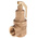 8888 5bar Pressure Relief Valve With Female BSP 1 in BSP Female Connection and a BSP 1 Exhaust Port