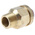 Reliance 16bar Anti-Vacuum Valve With Male BSP 1/2 in BSP Male Connection