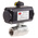 RS PRO Ball Valve type Pneumatic Actuated Valve 2in, 10 bar