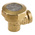 Spirax Sarco Brass Air Vent 1/2 in BSPP
