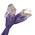 RS PRO Cat5e Straight Male RJ45 to Straight Male RJ45 Ethernet Cable, Purple PVC Sheath, 1m