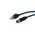 Bulgin Cat6a Straight Female M12 to Straight Male RJ45 Ethernet Cable, Blue PUR Sheath, 1m