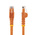 StarTech.com Cat6 Male RJ45 to Male RJ45 Ethernet Cable, U/UTP, Orange PVC Sheath, 7m, CMG Rated