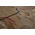 RS PRO 90dB Panel Mount Continuous Internal Piezo Buzzer, 33 x 23 x 17mm, 3V dc Min, 16V dc Max