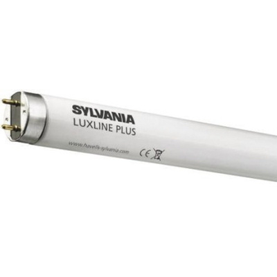 Sylvania 18 W T8 Fluorescent Tube, 1300 lm, 600mm, G13